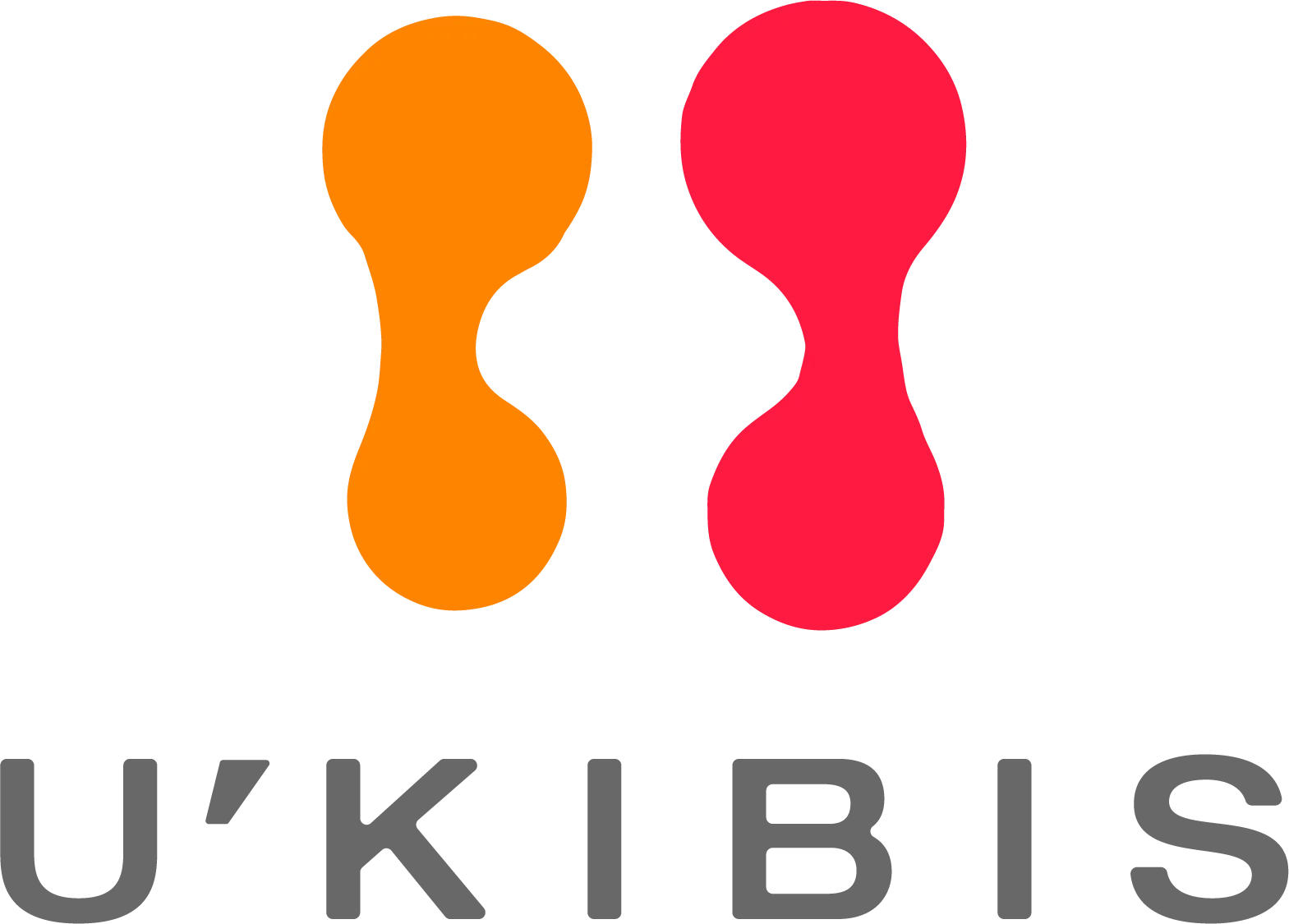 voice_logo
