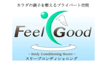 voice_logo