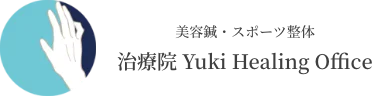 voice_logo