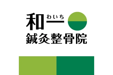 voice_logo